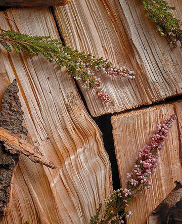 Stack of firewood with green and pink heather on top
